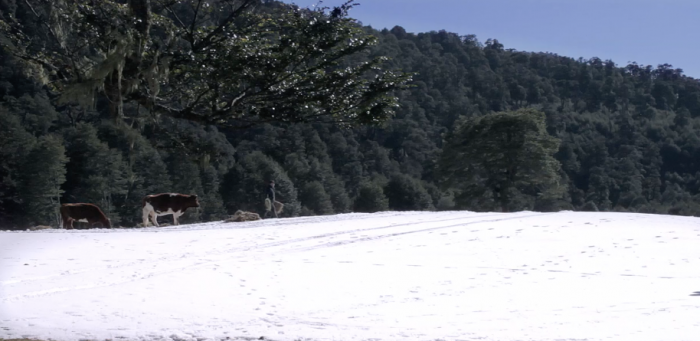 Mapafílmico: «Campo de nieve»