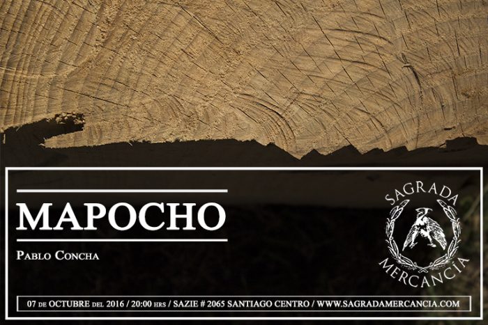 Proyecto «Mapocho» del escultor Pablo Concha Soler en galería Sagrada Mercancía, desde el 7 de octubre