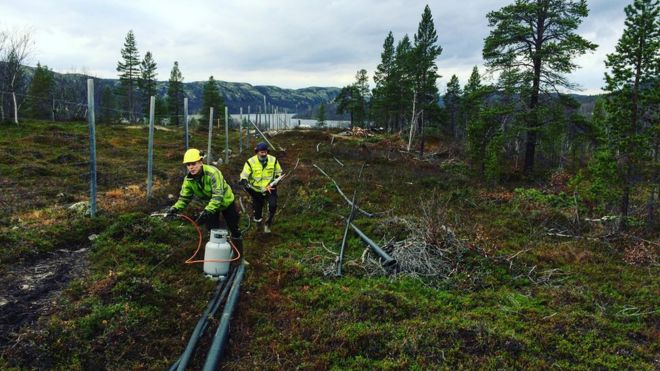 Por qué Noruega levanta un muro de acero en su frontera con Rusia, en un lugar que sólo se puede cruzar en bicicleta