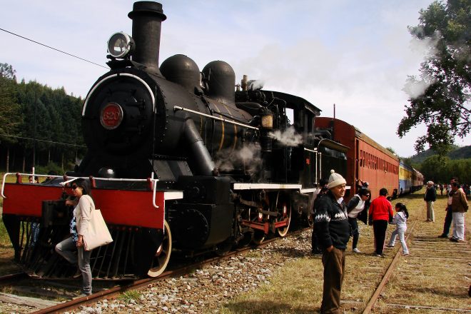 Un viaje lleno de nostalgia en el tren turístico «El Valdiviano»