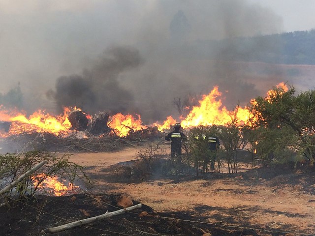 Declaran Alerta Roja en San José de Maipo y Peñalolén por incendios forestales
