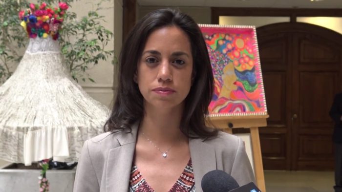 [VIDEO] Diputada Núñez (RN) critica que rostro de campaña del Gobierno esté acusado de no pagar pensión