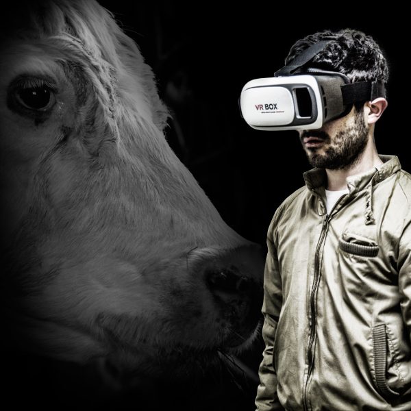 A través de una experiencia virtual, Animal Libre te «hará sentir» la angustia de los mataderos
