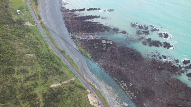 En fotos: el lecho marino levantado 2 metros y otros impactantes efectos del terremoto en Nueva Zelanda