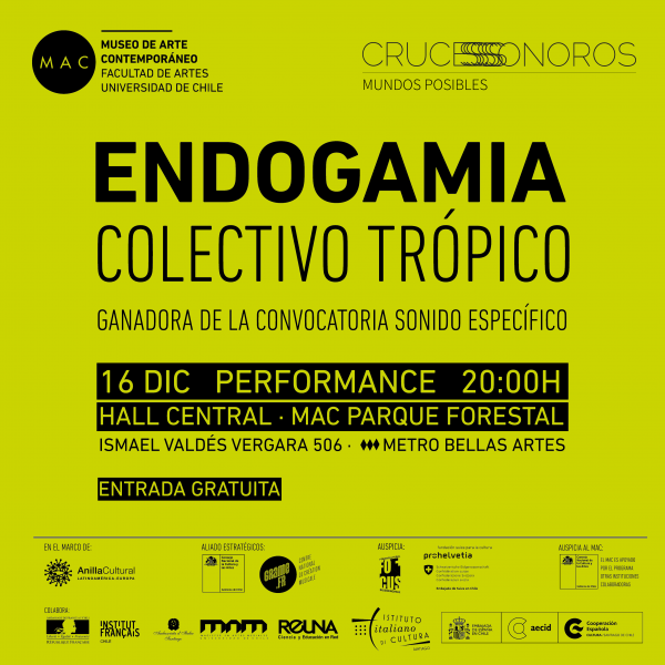 Intervención acústica y performance «Endogamia» en MAC Parque Forestal. Entrada liberada