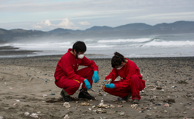 Greenpeace tras terremoto en Chiloé: “Exigimos conocer protocolos de las salmoneras ante una nueva catástrofe ambiental”