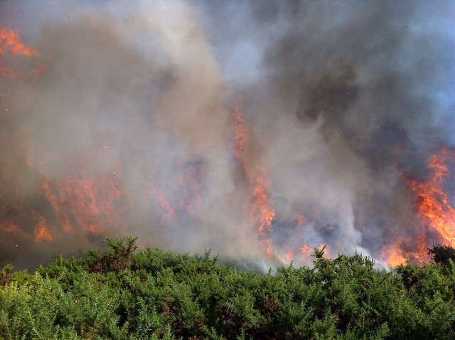 Solicitan rápida aprobación de nueva ley que aumenta las penas en casos de incendios intencionados