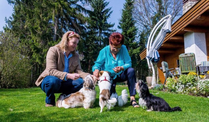Jubilados alemanes arriendan mascotas o ayudan en refugios de animales