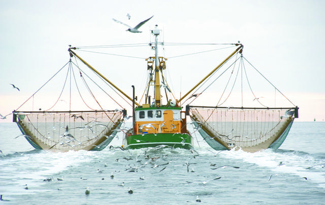 ONU: Eliminar subsidios de pesca salvaría millones de empleos en países pobres