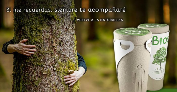 Urnas biodegradables llegan a Chile: las cenizas de nuestros seres queridos cobran vida en un árbol