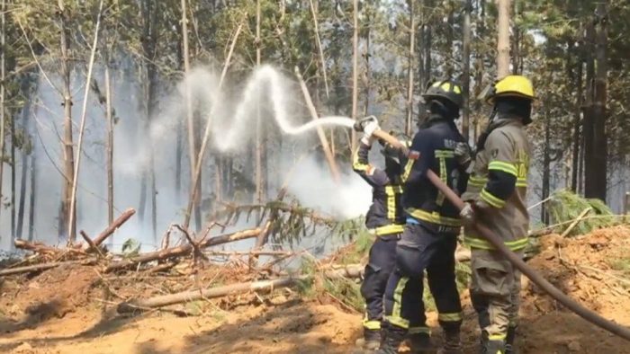 [VIDEO] «Hemos tomado las responsabilidades que no ha tomado el Estado», el testimonio de uno de los bomberos que luchan contra el fuego