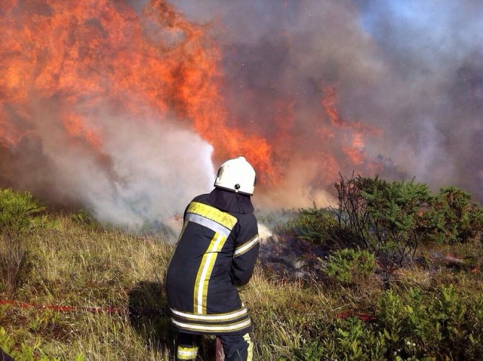 Comandante de Bomberos por incendios forestales: «No doy abasto, esto es una guerra, un desastre»