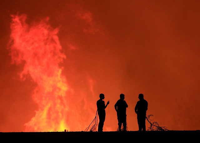 [FOTOS] Los aliados de los lugareños para combatir los incendios: ramas de eucalyptus y romerillos