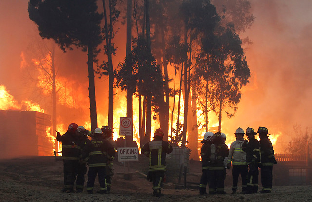 Onemi reporta: 142 incendios forestales activos y 290 mil hectáreas afectadas