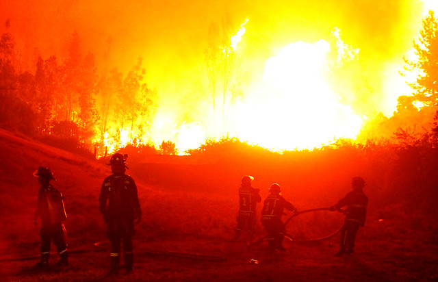 Bachelet visita zona afectada por incendios forestales