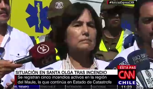 Ministra Castillo por peligro de rebrote de virus Hanta en zonas incendiadas: «Los ratones se quemaron»