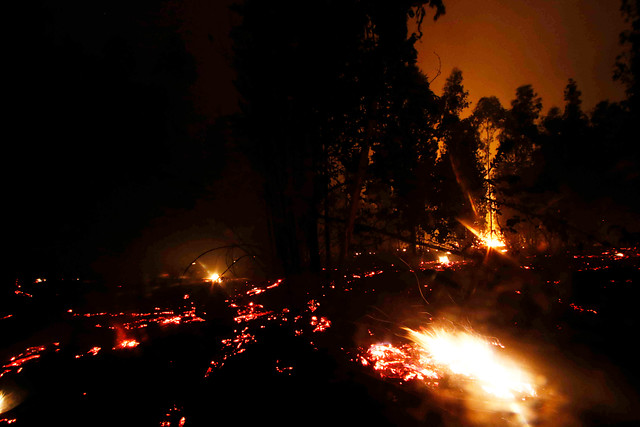 Conaf reporta: incendios forestales han consumido más de 39 mil hectáreas