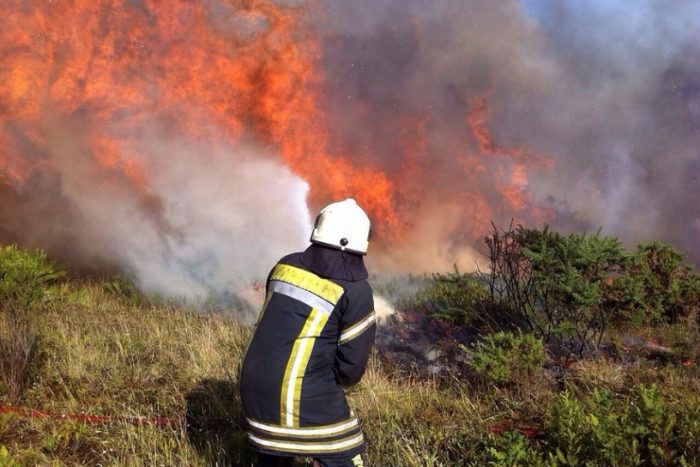 [VIDEO] Comandante de Bomberos desmiente a las redes sociales por informaciones erradas del incendio forestal