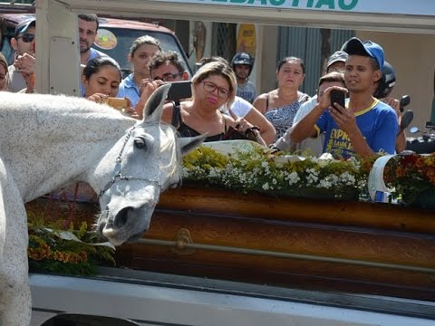 [VIDEO] El emotivo «último adiós» de un caballo a su jinete en Brasil