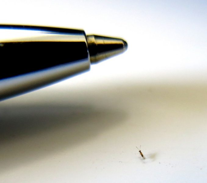 China finalmente logra inventar un bolígrafo de fabricación propia