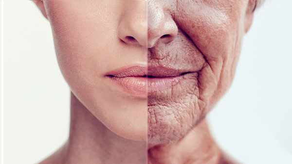 Explican causas genéticas del envejecimiento, que comienza entre los 40 y 50 años