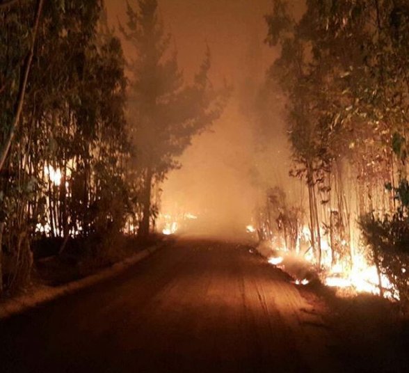 [VIDEO] La noche de terror que vivieron los vecinos de Matanzas, Pupuya y Navidad por culpa de los incendios forestales