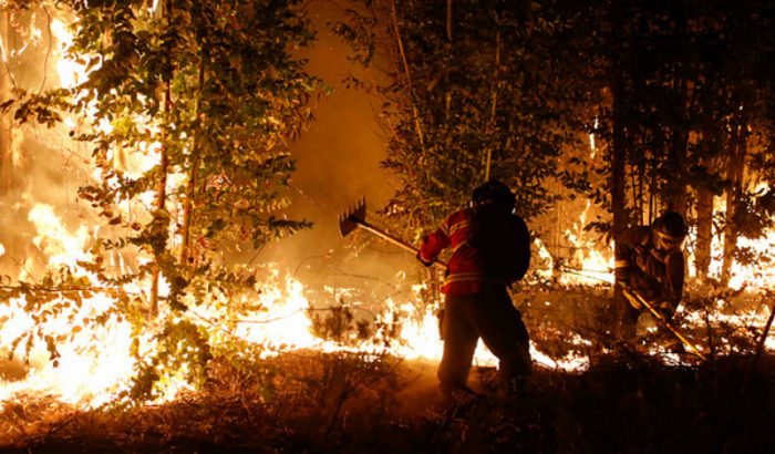 Gobierno decreta estado de catástrofe en zonas afectadas por incendios forestales