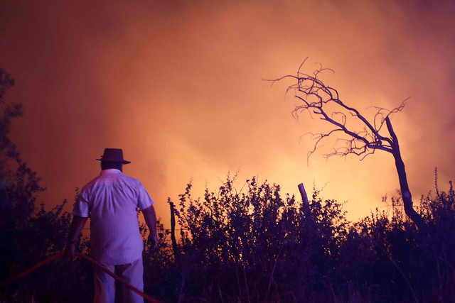 Evacuan a más de 200 personas en Pichilemu y Paredones por avance de incendio forestal