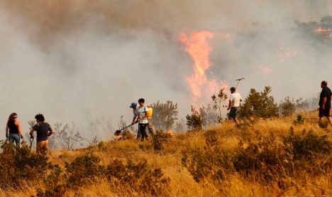 Alerta Roja en Vichuquén: Incendio afecta 200 hectáreas y deja un brigadista lesionado