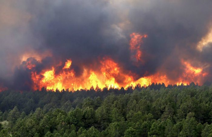 Vertedero de Copiulemu es alcanzado por incendio forestal