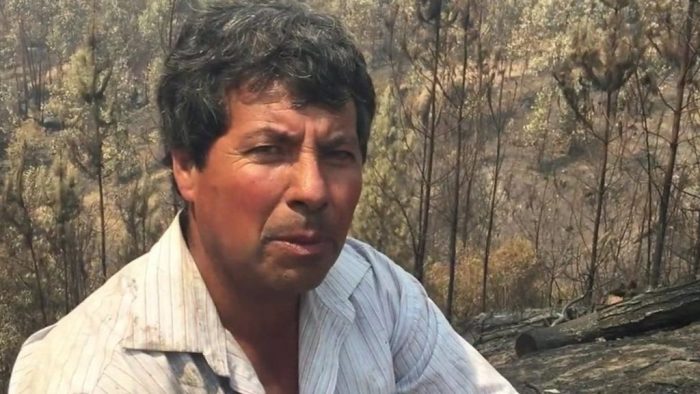 [VIDEO] El desgarrador testimonio de un agricultor chileno que perdió su hogar por los incendios