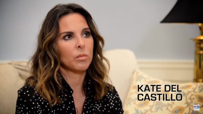 [VIDEO] Kate del Castillo pide la liberación de la orca Lolita del Seaquarium de Miami