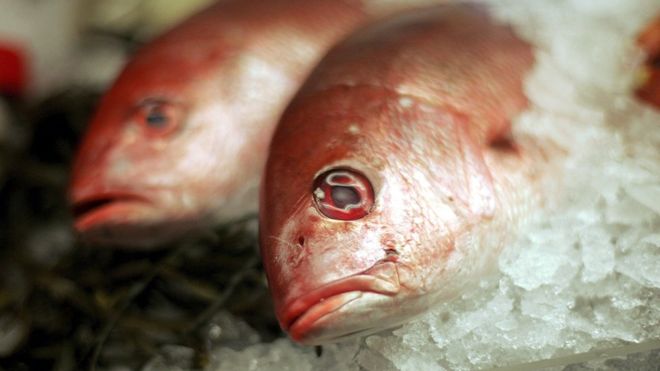 Pescados o mariscos en Semana Santa: suben los precios y las intoxicaciones por estos alimentos 