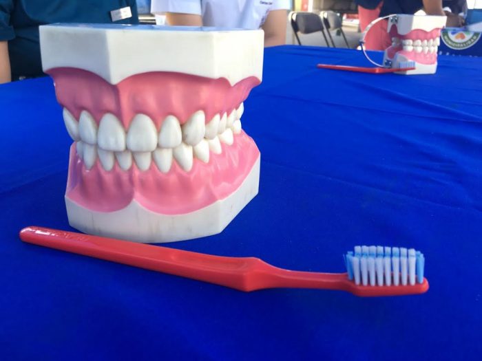 Programa dental en La Florida totaliza 14 mil fluoraciones para prevenir caries en niños