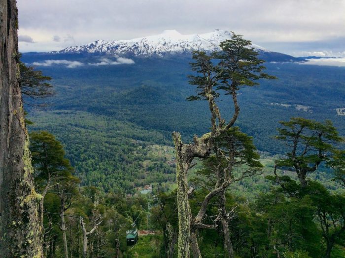 Reserva biológica Huilo Huilo abre al público el primer teleférico del sur de Chile