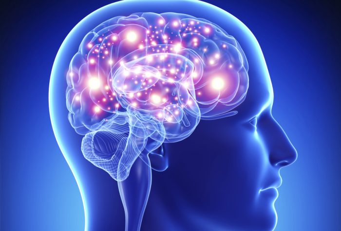Científicos chilenos descubren que riesgo de padecer esquizofrenia podría detectarse en etapas tempranas de la vida