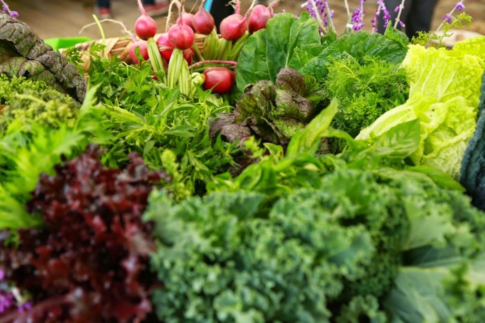 Las propiedades de cuatro verduras orgánicas que debes consumir esta temporada