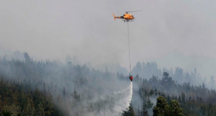 Cartel del fuego: Fiscalía pide a España antecedentes por fraude de empresas contra incendios