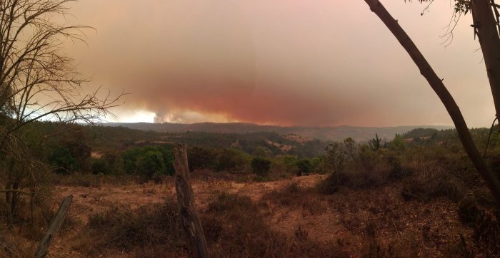 [VIDEOS] Sigue el combate contra los incendios forestales en Matanzas, Navidad y Pupuya