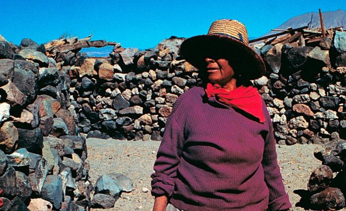 Día Internacional de la Lengua Materna: Cómo se revitaliza en Chile el idioma de los pueblos originarios