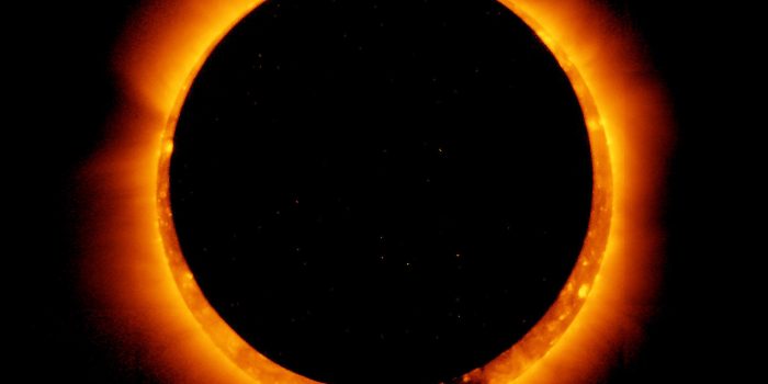 [VIDEO] Así se vio el esperado eclipse solar llamado «anillo de fuego»