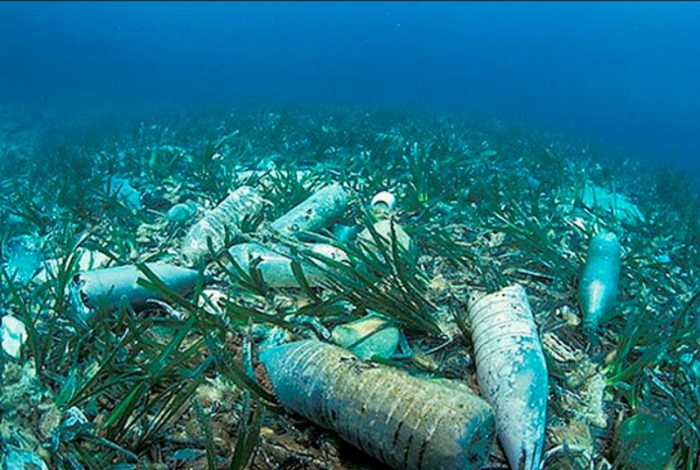 ONU lanza campaña mundial para acabar con residuos de plástico en los océanos