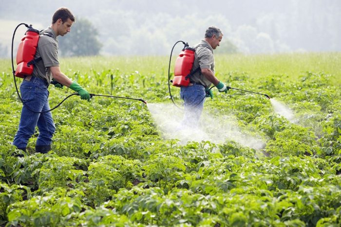 Monsanto es acusado de autoría engañosa en favor de herbicida
