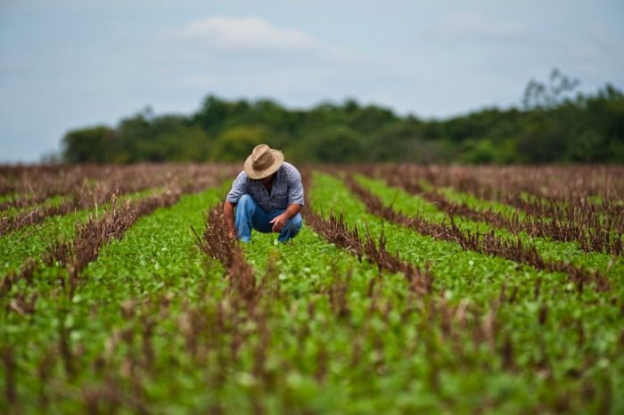 Innovadora startup busca revolucionar la gestión agrícola