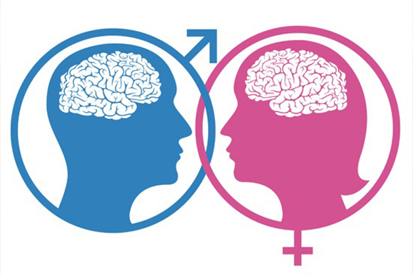 Cerebro femenino vs. masculino: ¿tienen capacidades diferentes?