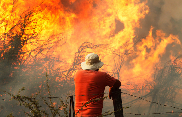 Incendios forestales: Corte de Apelaciones de Rancagua mantiene prisión preventiva a ejecutivo de CGE