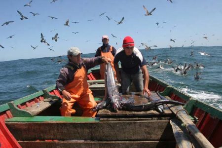 Pesca artesanal y desempleo