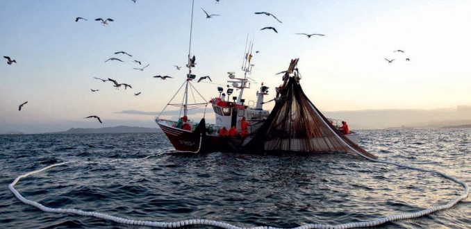 Pronunciamiento de la Contraloría sobre la Ley de Pesca: los frentes clave que se abren en el debate