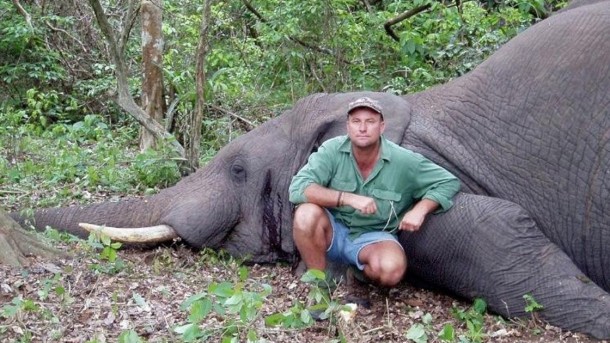 Aplastado por un elefante: así murió un avezado cazador sudafricano