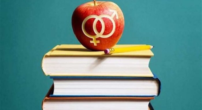 Estudio señala que docentes chilenos no se sienten capacitados para educar sobre sexualidad